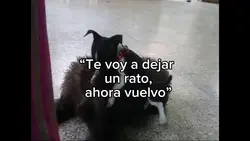 Agregar 2 clips