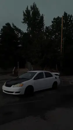 Add 6 clips