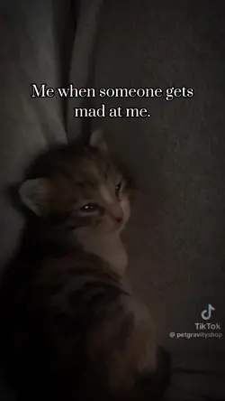 Add 1 clip
