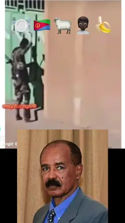 Add 6 clips