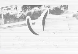 Add 8 clips