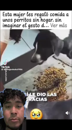Agregar 2 clips