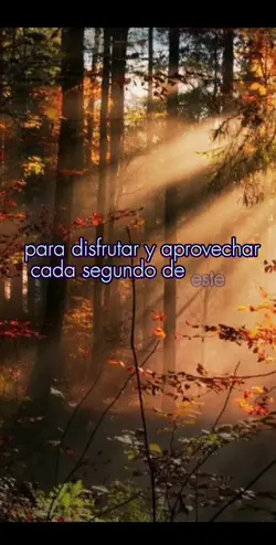 Agregar 1 clip