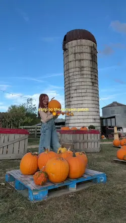 Add 10 clips
