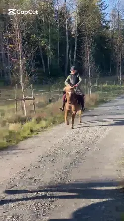 Lägg till 6 klipp