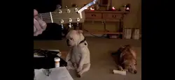 Add 1 clip