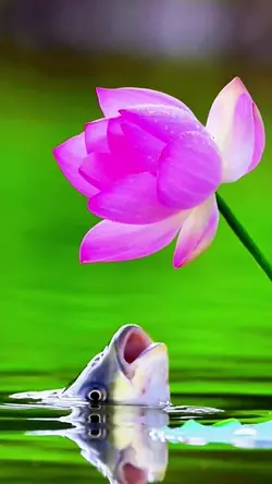 Добавьте клипы: 7
