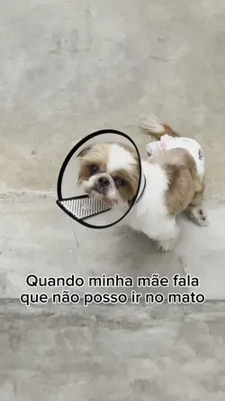 Adicione 1 clipe