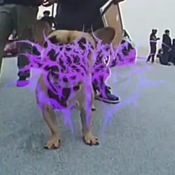Add 1 clip