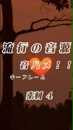 流行の音源音ハメ！！