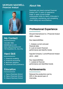 Businees Resume Financial Analyst