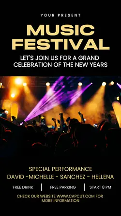 Music Festival Instagram Story