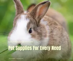 Pet industry Social Cards