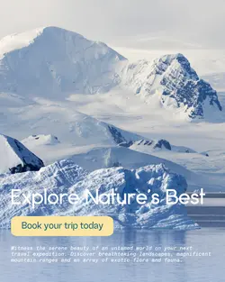 Travel industry General