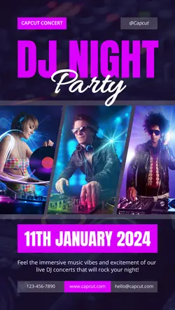 DJ Concert Instagram Story