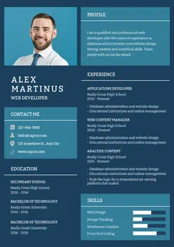 Resume Web Developer Business