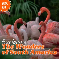 Wonders of Travel Youtube Thumbnail