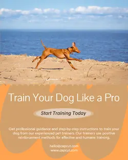 Pet industry Instructions