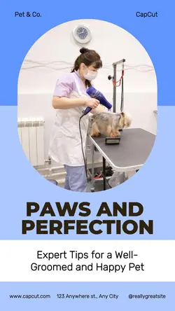 Pet Grooming Promotion Minimalist