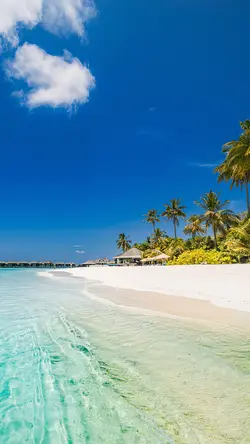 Wallpaper creative poster beach view