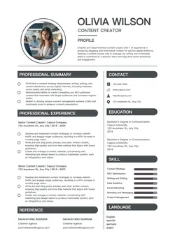 Business Content Creator Resume Modern