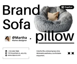 Household Brand sofa pillow Heavy promotion