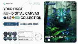 Digital Art Home Decoration Offer Product Display