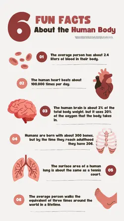 Non-marketing Infographics Human Body