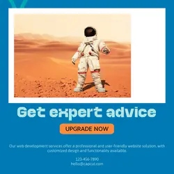 Internet Sales Promotion