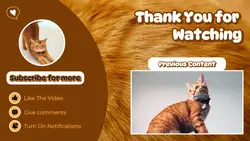 Non Marketing - Youtube Endscreen Cat Channel Orange Brown White