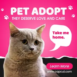 Pet Adopt - Instagram Post