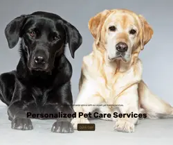 Pet industry Effect Display