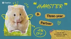 Pet Hamster Display Collage Style