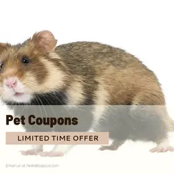 Pet industry Sales Promotion