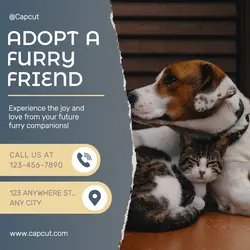 Adoption Poster