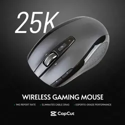 Electronic products Mouse Show Business