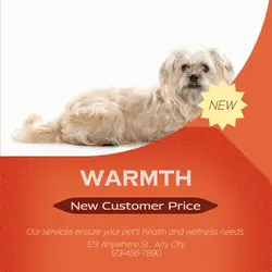 Pet industry Sales Promotion