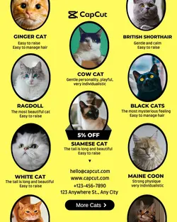 Pet Cats Display Collage Style