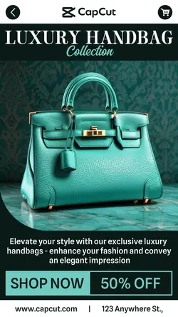 Fashion Handbag Sale Promotion TikTok