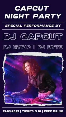 Other DJ Music Poster Instagram Story