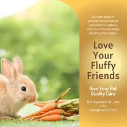 Pet industry General