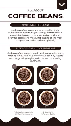 Education - Infographics - Coffee Bean - Arabica