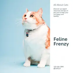 Pet industry General