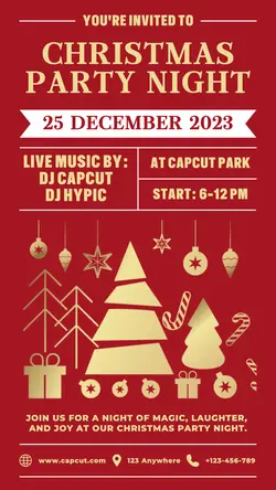 Christmas Party Night Poster Promotion TikTok Post