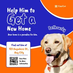 Pet Adoption Instagram Post