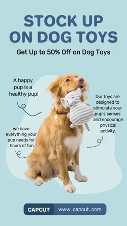 Pet & Pet toys Discount