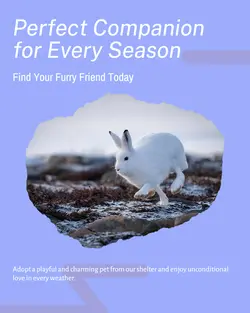 Pet industry General