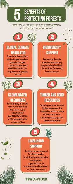 non marketing infographics protecting forests for education