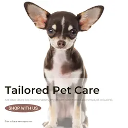 Pet industry Social Cards