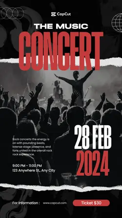 Concert Music Instagram Story